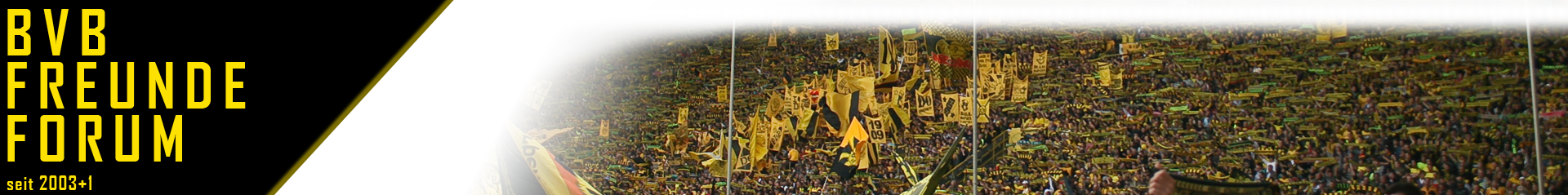 BVB Freunde Forum